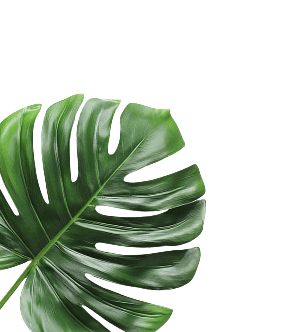 cocktail-left-leaf