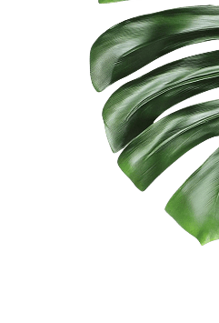 right-leaf